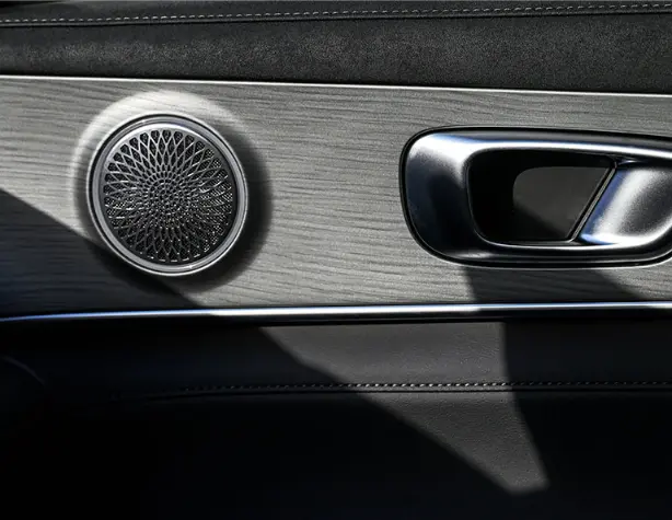 tiggo 8 boze usa laterala | Chery Romania