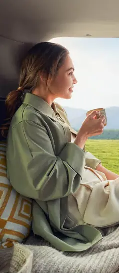 background chery brown with logos