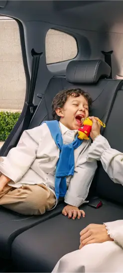 background chery brown with logos romania